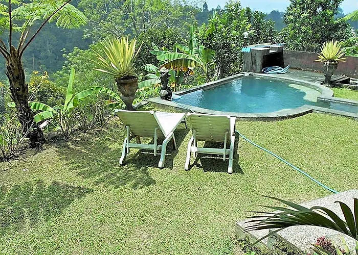 Shangrilah 3*