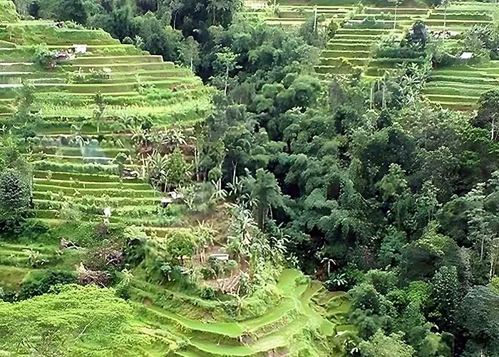 Shangrilah Hotel