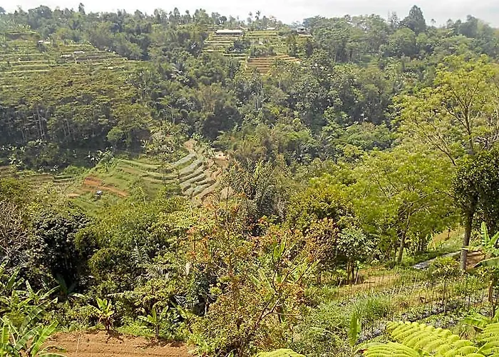 Shangrilah